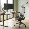 Офисное кресло ERGO Lion HB Grey