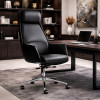 Офисное кресло ERGO Nico HB Black