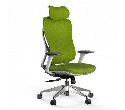 Офисное кресло KANO Yudon HB (EYD81.SW) Green (W-DB06+BP-MP05)