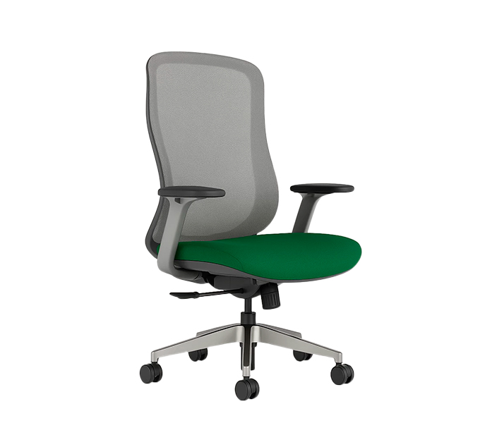 Офисное кресло KANO Yudon MB (EYD61.SW) Gray+Green (W-DB02&BP-MP06)