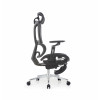 Офисное кресло ERGO Air Ultra HB Black 