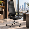 Офисное кресло KANO Deno HB (EDN80.SC) Black (Z11-001&Z13-006)
