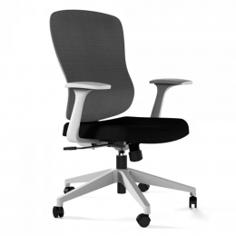 Офисное кресло KANO Siran MB (ESR61.TW) Grey (W-SD01&BP-MS01)