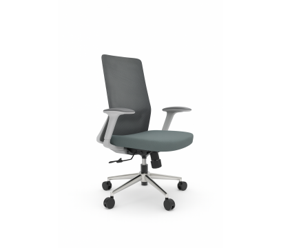 Кресло для персонала KANO (EJX61.SW) Gray (W-SD01&B-MA03)