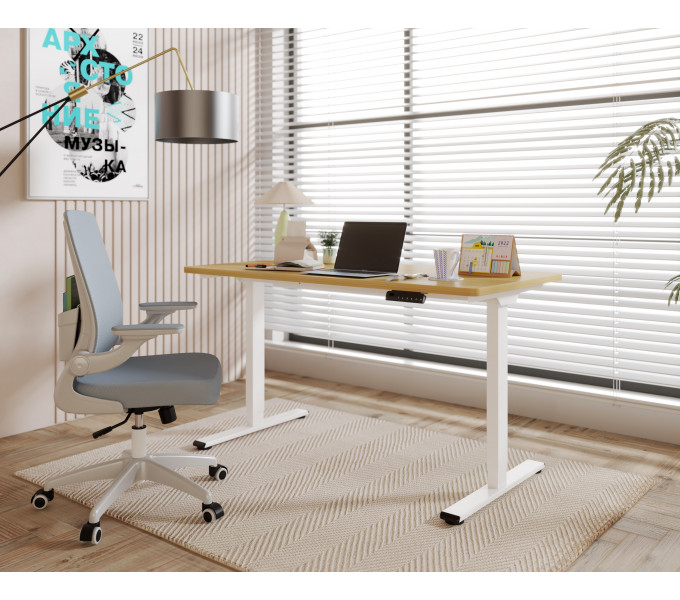 Каркас для стола с электроприводом FlexiSpot E1 Pro White