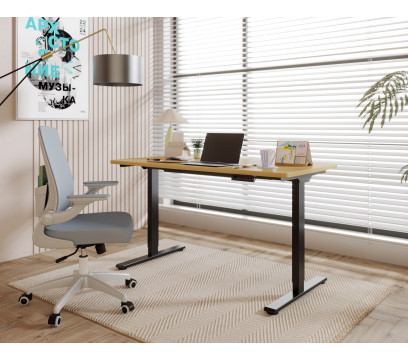 Каркас для стола с электроприводом FlexiSpot E1 Pro Black