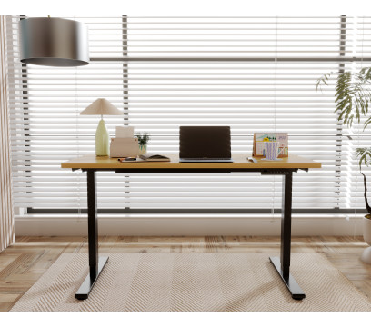 Каркас для стола с электроприводом FlexiSpot E1 Pro Black