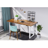 Каркас для стола с электроприводом FlexiSpot Lorian (ET227Q-MAX) Black