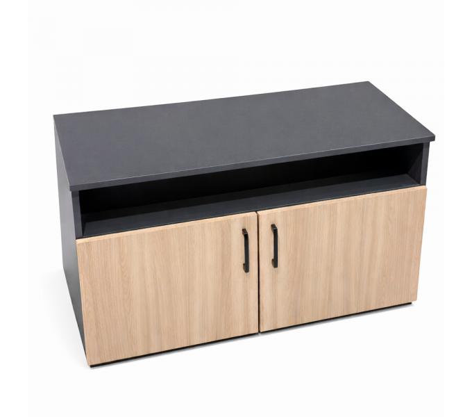 Тумба офисная ERGO Lower SM (100*45*56) Ясень шимо/Антрацид