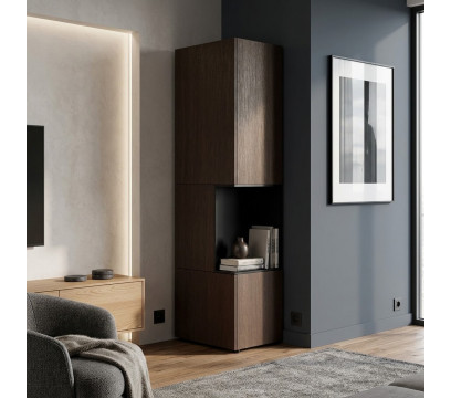 Шкаф-тотем руководителя LAS Monolith Brown (060R Wenge)