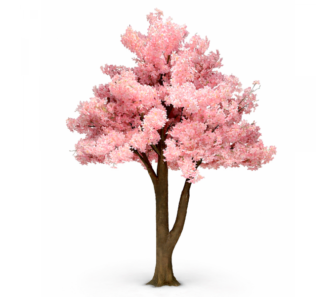 Декоративное дерево ERGO Sakura