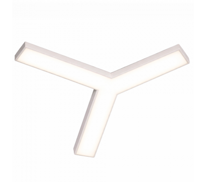 Световой модуль ERGO Y Light