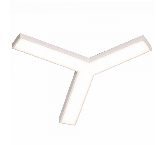 Световой модуль ERGO Y Light