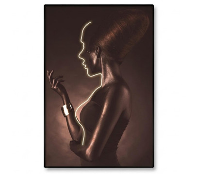 LED-картина ERGO Silent Grace (DG069) Brown