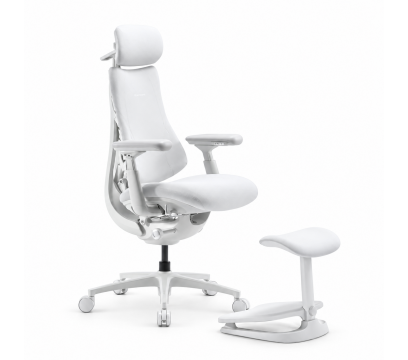 Офисное кресло LiberNovo Omni Pro (Glacier)