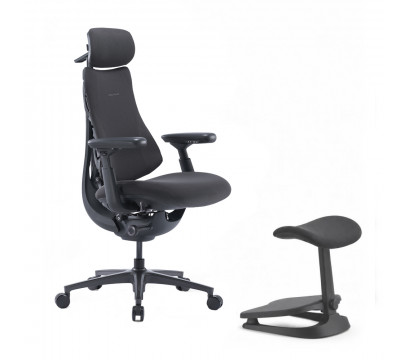 Офисное кресло LiberNovo Omni Pro (Graphite)