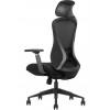 Офисное кресло ERGO Comfort Plus (K2 VAR CHAIR) HB Black