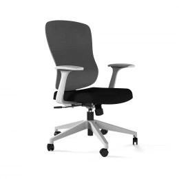 Офисное кресло KANO Siran MB (ESR61.TW) Gray (W-SD01&BP-MS01)